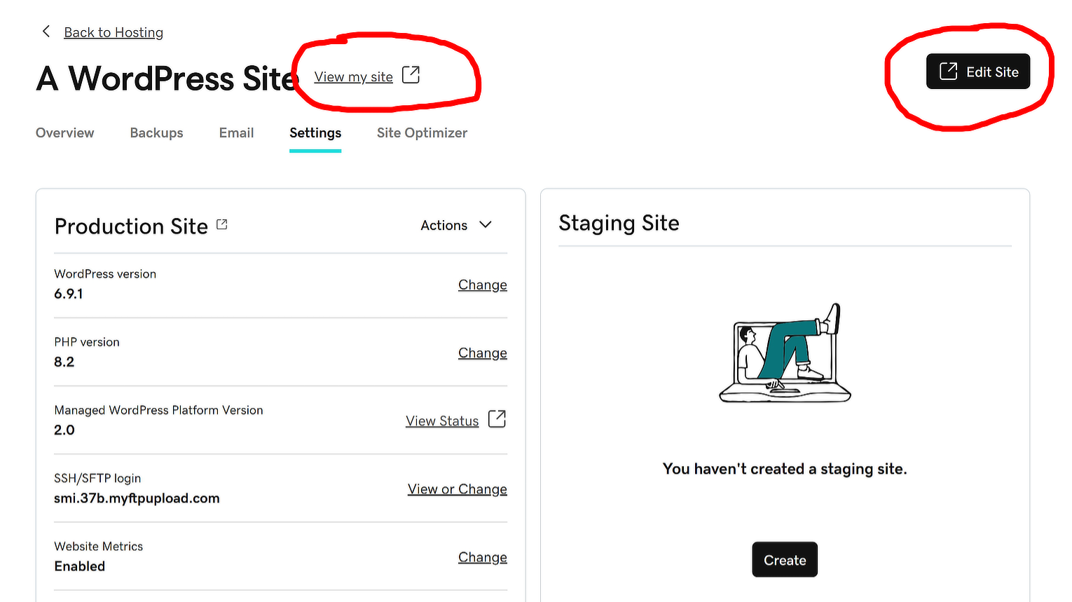 Screenshot of hosting dashboard for wordpress website host settings. 