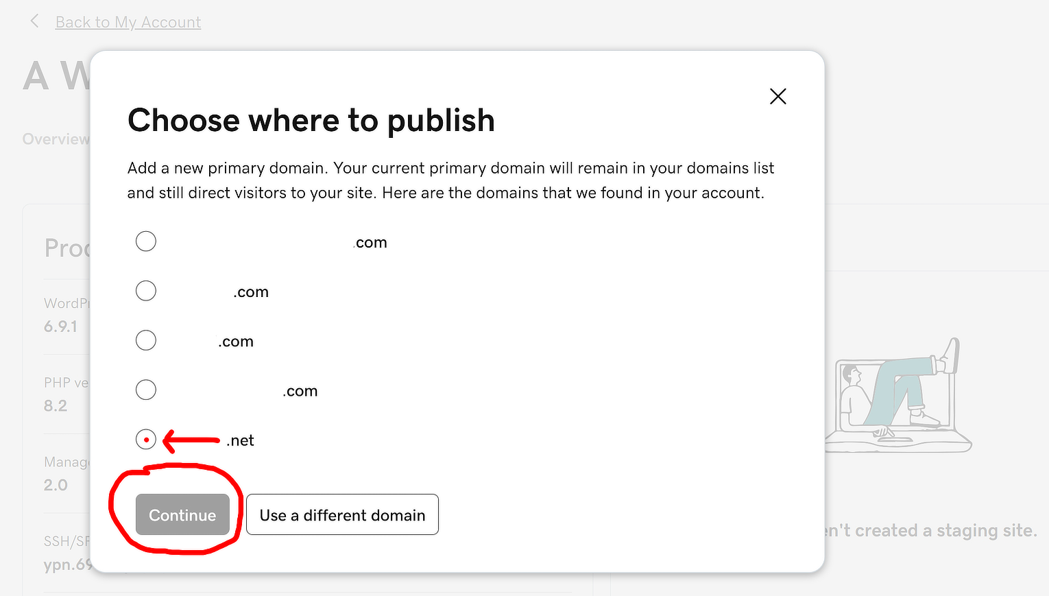 A vissual aid screenshot of a hosting dashboard for selecting a domain